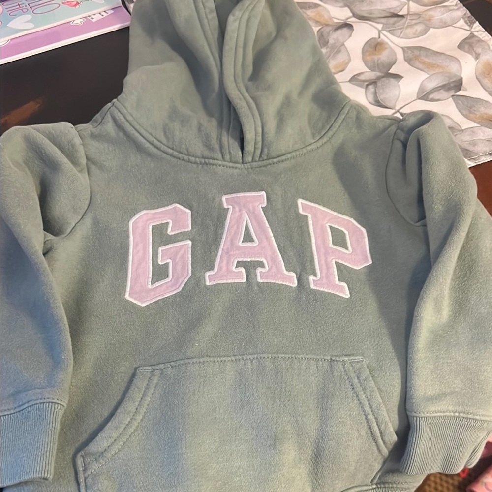 GAP Purple and Green Sweatshirt Hoodie